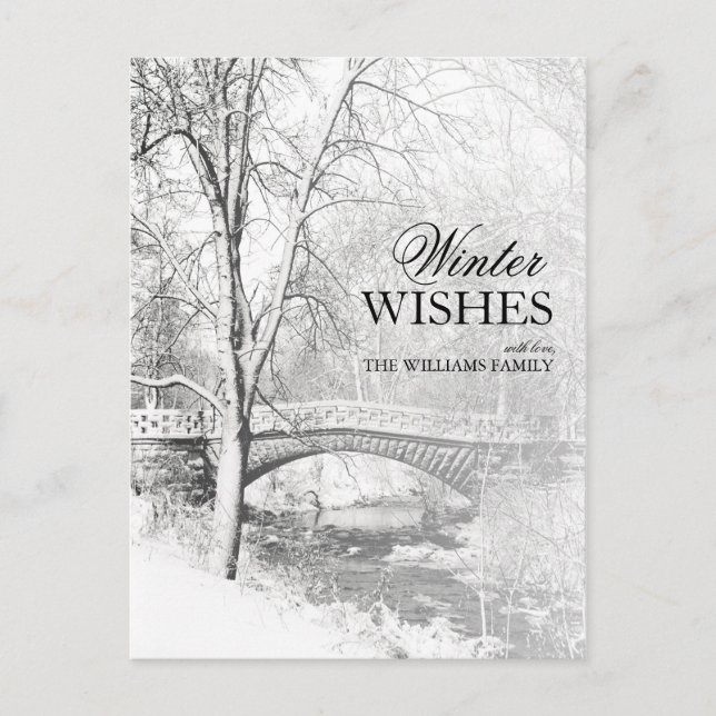 Snowy Garfield Park in Black and White Postcard (Front)