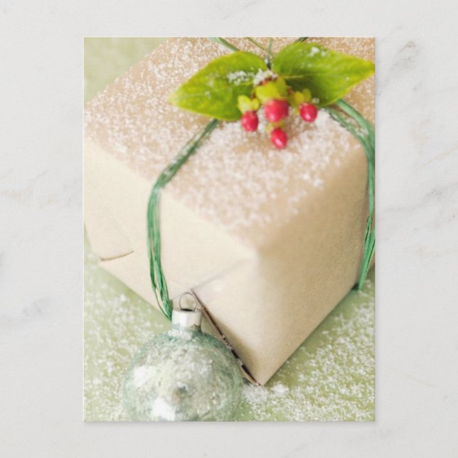 Snowy Gift Greeting Cards and Stickers (Front)