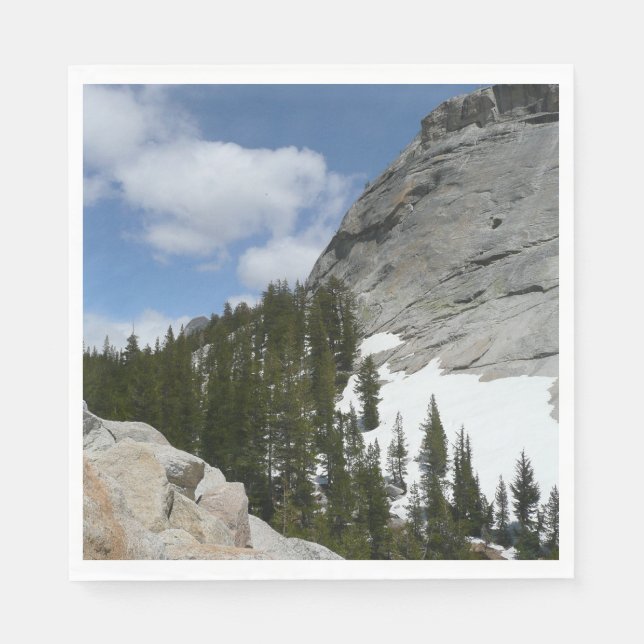 Snowy Granite Domes II Yosemite National Park Napkins (Front)