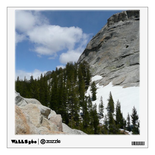 Snowy Granite Domes II Yosemite National Park Wall Decal (Front)