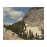 Snowy Granite Domes II Yosemite National Park Wood Wall Decor