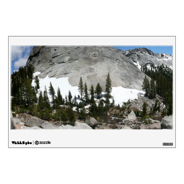 Snowy Granite Domes Panorama at Yosemite Wall Sticker (Front)