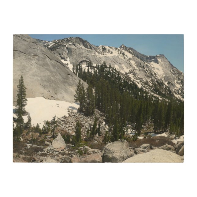 Snowy Granite Domes Panorama at Yosemite Wood Wall Art (Front)