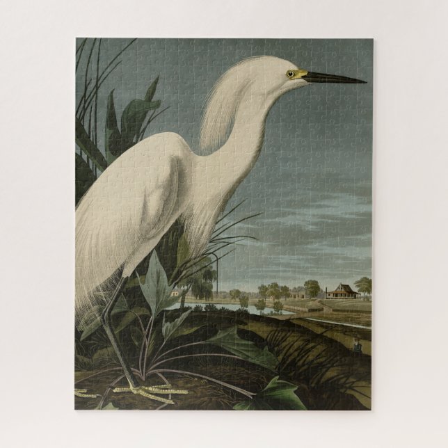 Snowy Heron (Egret) - Audubon's Birds of America Jigsaw Puzzle (Vertical)
