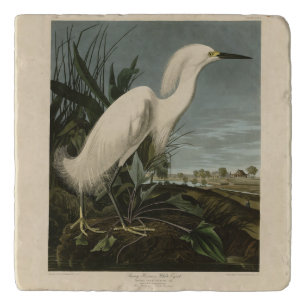 Snowy Heron (Egret) - Audubon's Birds of America Trivet