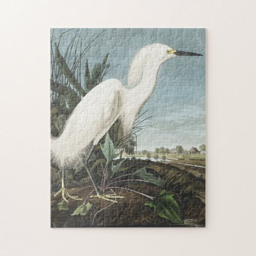 Snowy Heron or White Egret from Birds of America Jigsaw Puzzle