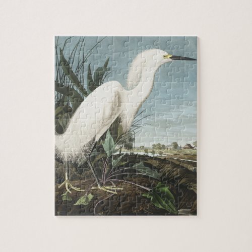 Snowy Heron or White Egret from Birds of America Jigsaw Puzzle