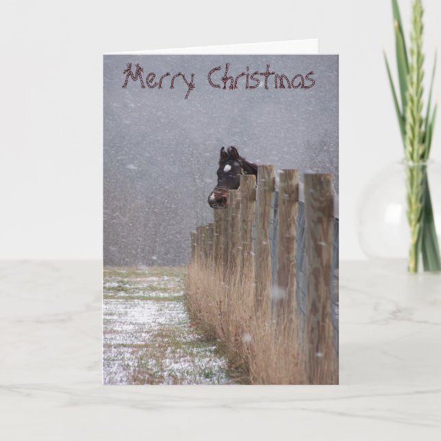 Snowy Horses, Merry Christmas Holiday Card (Front)