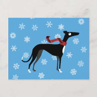 Snowy Hound Postcard