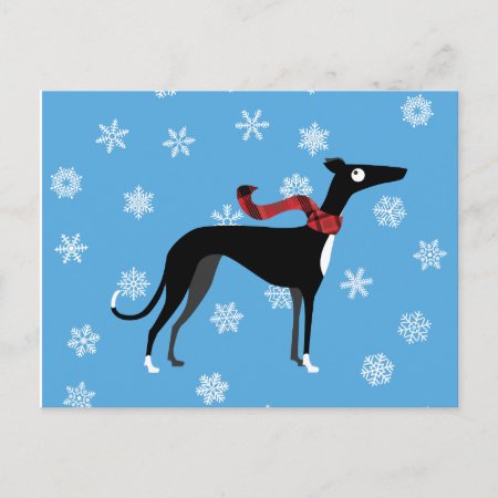 Snowy Hound Postcard