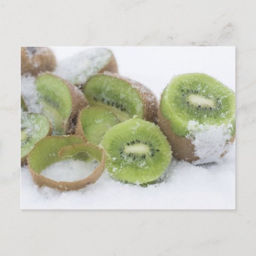 Snowy Kiwi Postcard