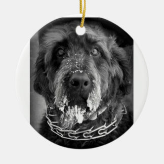 Snowy Labradoodle Ceramic Ornament