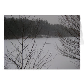Snowy Lake II