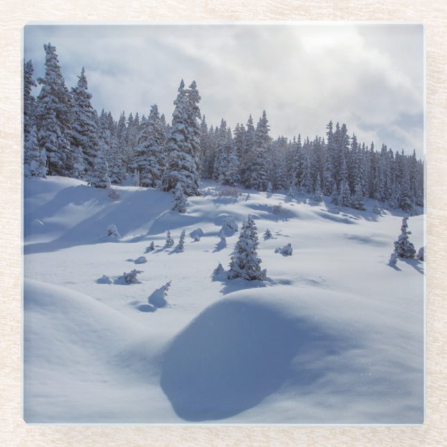 Snowy Landscape Glass Coaster (Front)