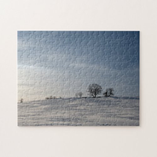 Snowy landscape  jigsaw puzzle