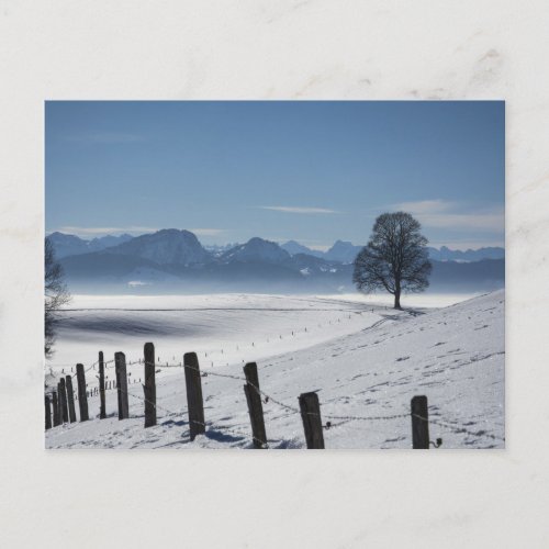 Snowy Landscape Photo Postcard