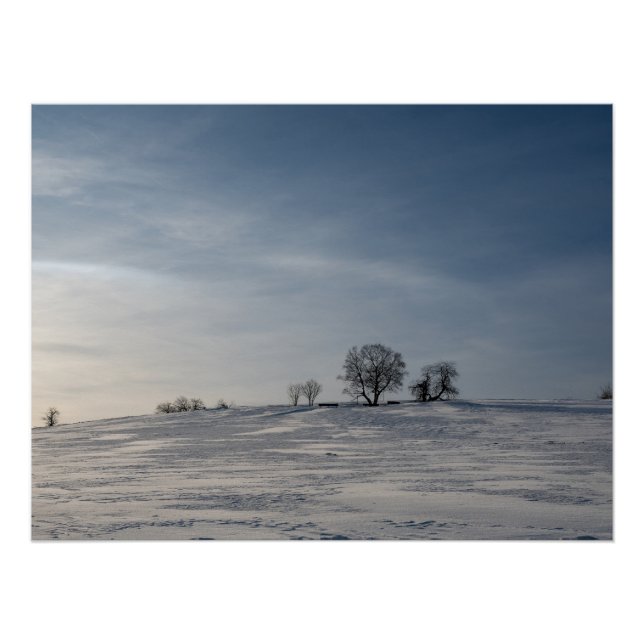 Snowy landscape    poster (Front)