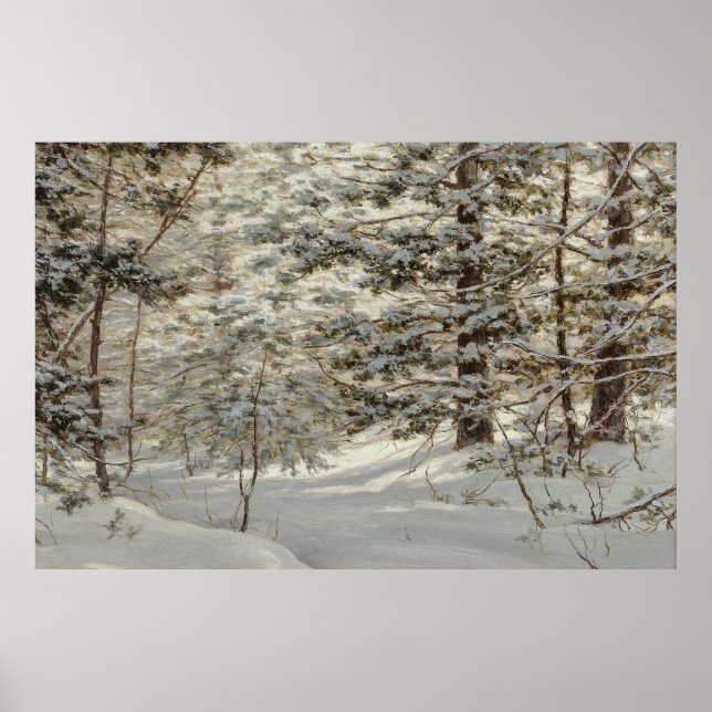 Snowy Landscape Poster (Front)