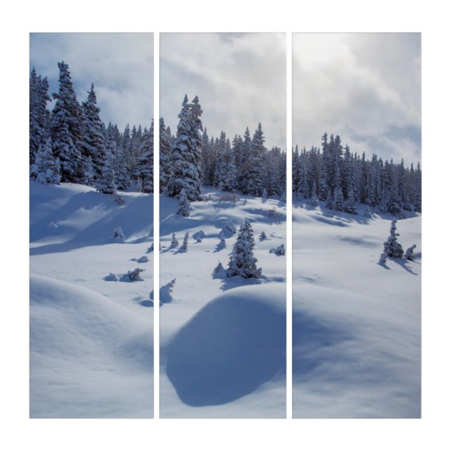 Snowy Landscape Triptych (Front)