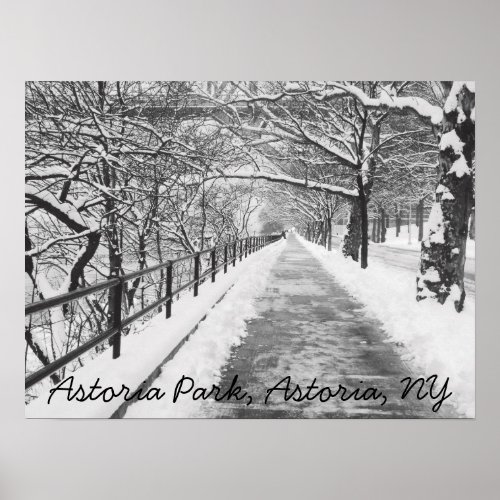 Snowy Lane Astoria NY Poster