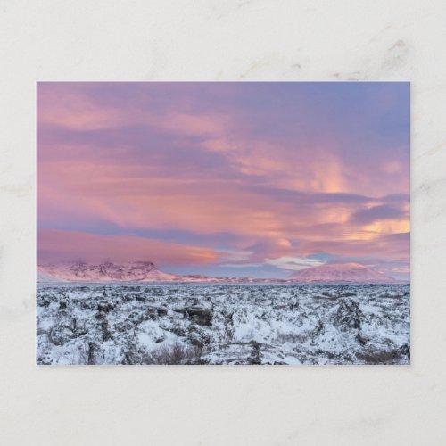 Snowy Lava field landscape Iceland Postcard