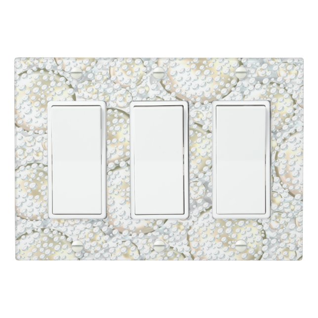 Snowy Light Switch Cover (In Situ)
