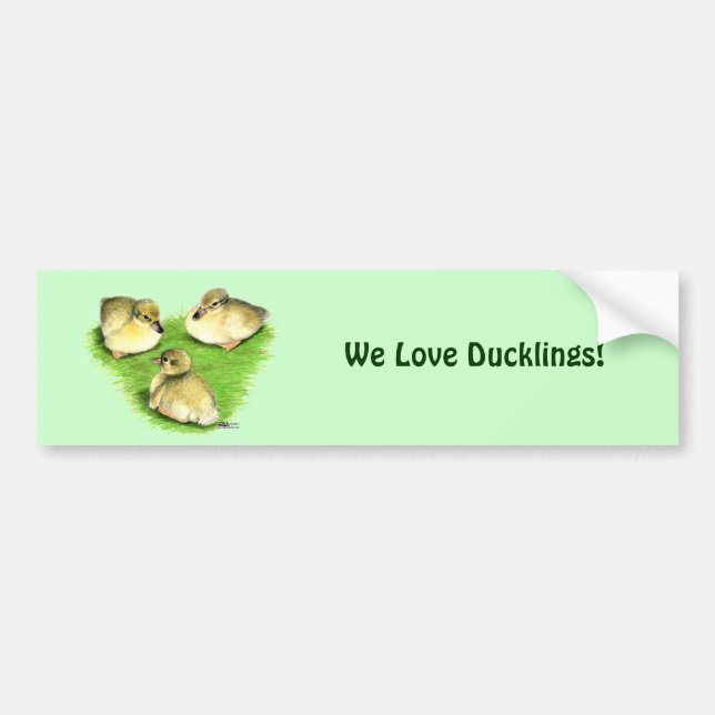 Snowy Mallard Ducklings Bumper Sticker (Front)
