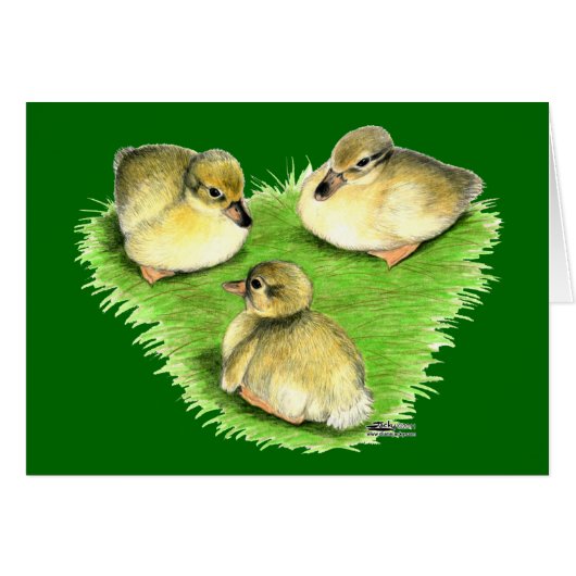 Snowy Mallard Ducklings Cards (Front Horizontal)