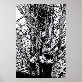 Snowy Maple Poster The MUSEUM Zazzle Gifts