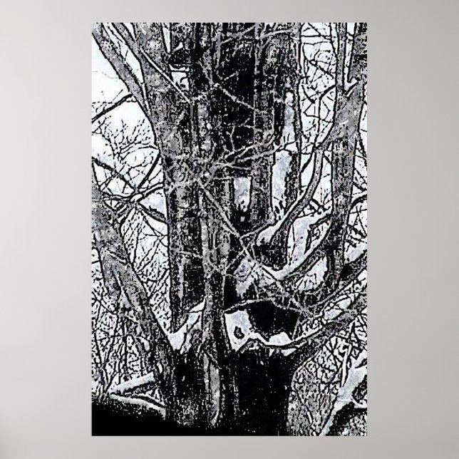 Snowy Maple Poster The MUSEUM Zazzle Gifts (Front)