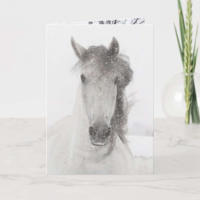 Snowy Mare - Horse Greeting Card (Front)