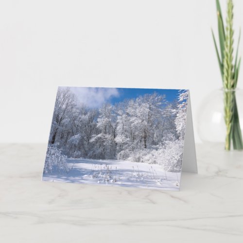 Snowy Marthaler Park and Trees Card