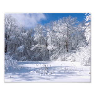 Snowy Marthaler Park and Trees Photo Print