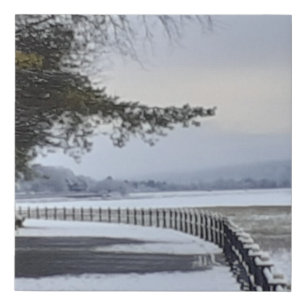 Snowy Morning Faux Canvas Art