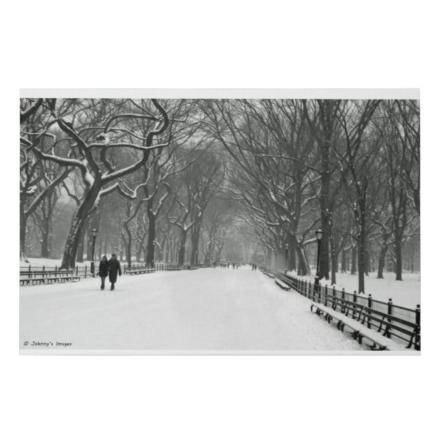 Snowy Morning in Central Park Faux Canvas Print (Front)