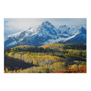 Snowy Mountain & Trees Faux Canvas Print