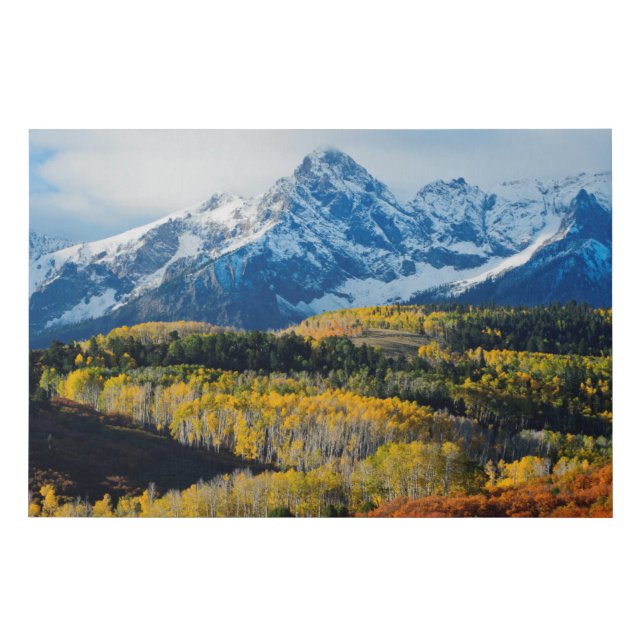Snowy Mountain & Trees Faux Canvas Print (Front)