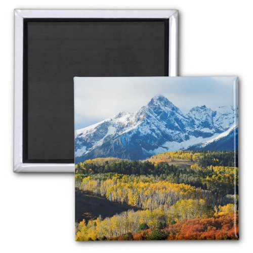 Snowy Mountain  Trees Magnet