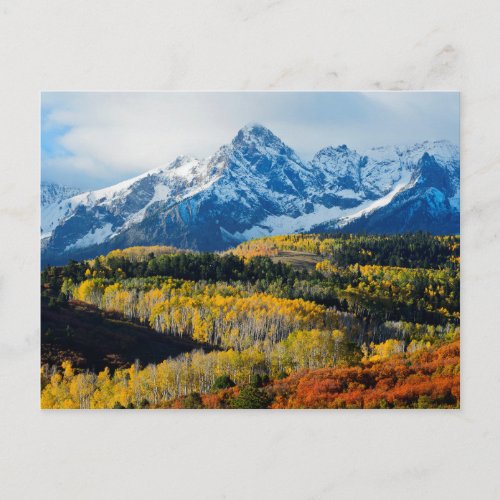 Snowy Mountain  Trees Postcard