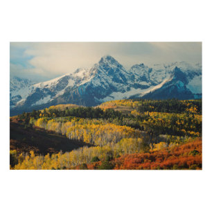 Snowy Mountain & Trees Wood Wall Art