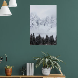 Snowy mountains and spruce forest poster