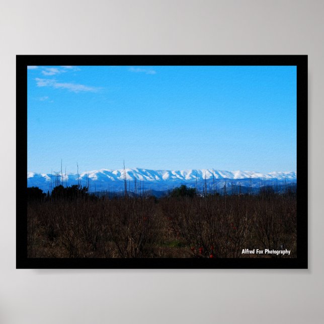 Snowy Mountains Behind Persimmon Field Poster (Front)