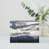 Snowy Mountains @ Lake Tekapo New Zealand Postcard (Standing Front)