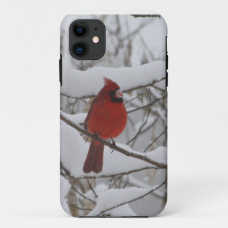 Snowy Nose Cardinal Iphone 5 case-mate 11 Case