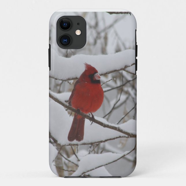 Snowy Nose Cardinal Iphone 5 case-mate Case (Back)