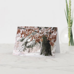 Snowy oak leaves  card