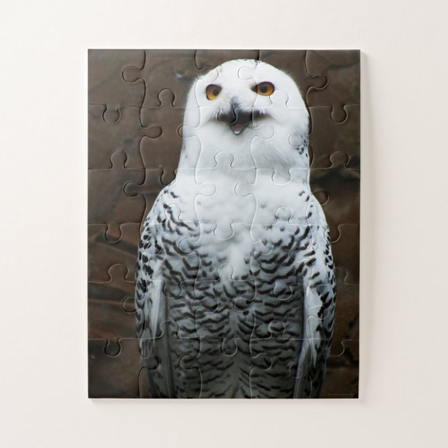 Snowy Owl 11x14 30pc jpcna Jigsaw Puzzle (Vertical)