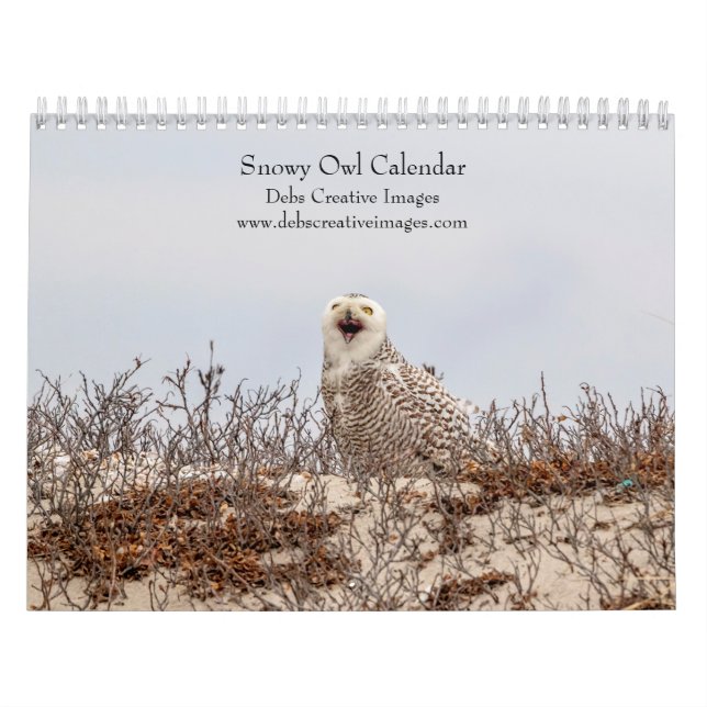 Snowy Owl 2026 Calendar (Cover)