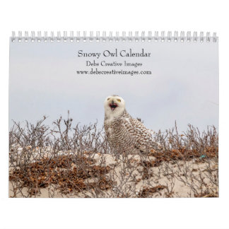 Snowy Owl 2026 Calendar