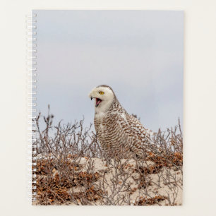 Snowy Owl 2026 Planner Winter Wildlife